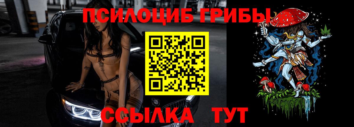Псилоцибиновые грибы Psilocybine cubensis Волгодонск